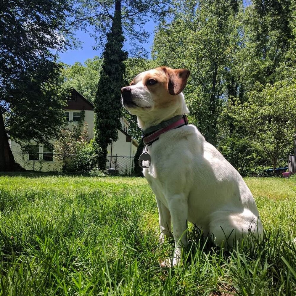 Meet your Posher, JG